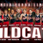 Benefits of Using Custom Softball Banners