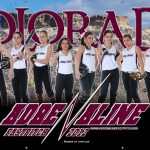 SoftballBanner